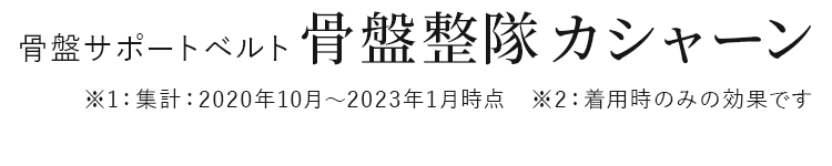 骨盤サポートベルト骨盤整隊 カシャーン